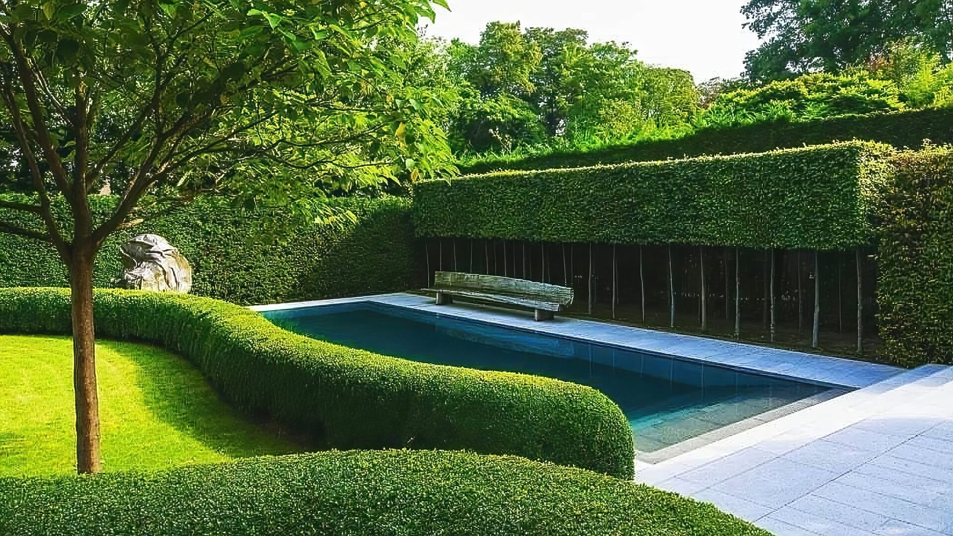 Hedges Pool Plant Fence