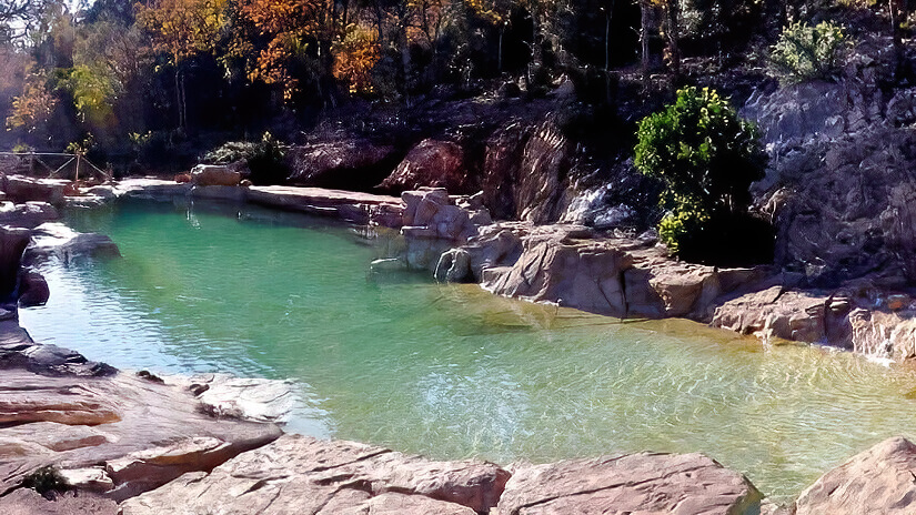 Natural Pool Shape Natural Pool Shape
