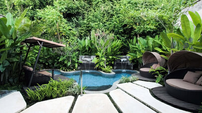 Best Plants And Trees For Around A Pool Plants Trees Pool