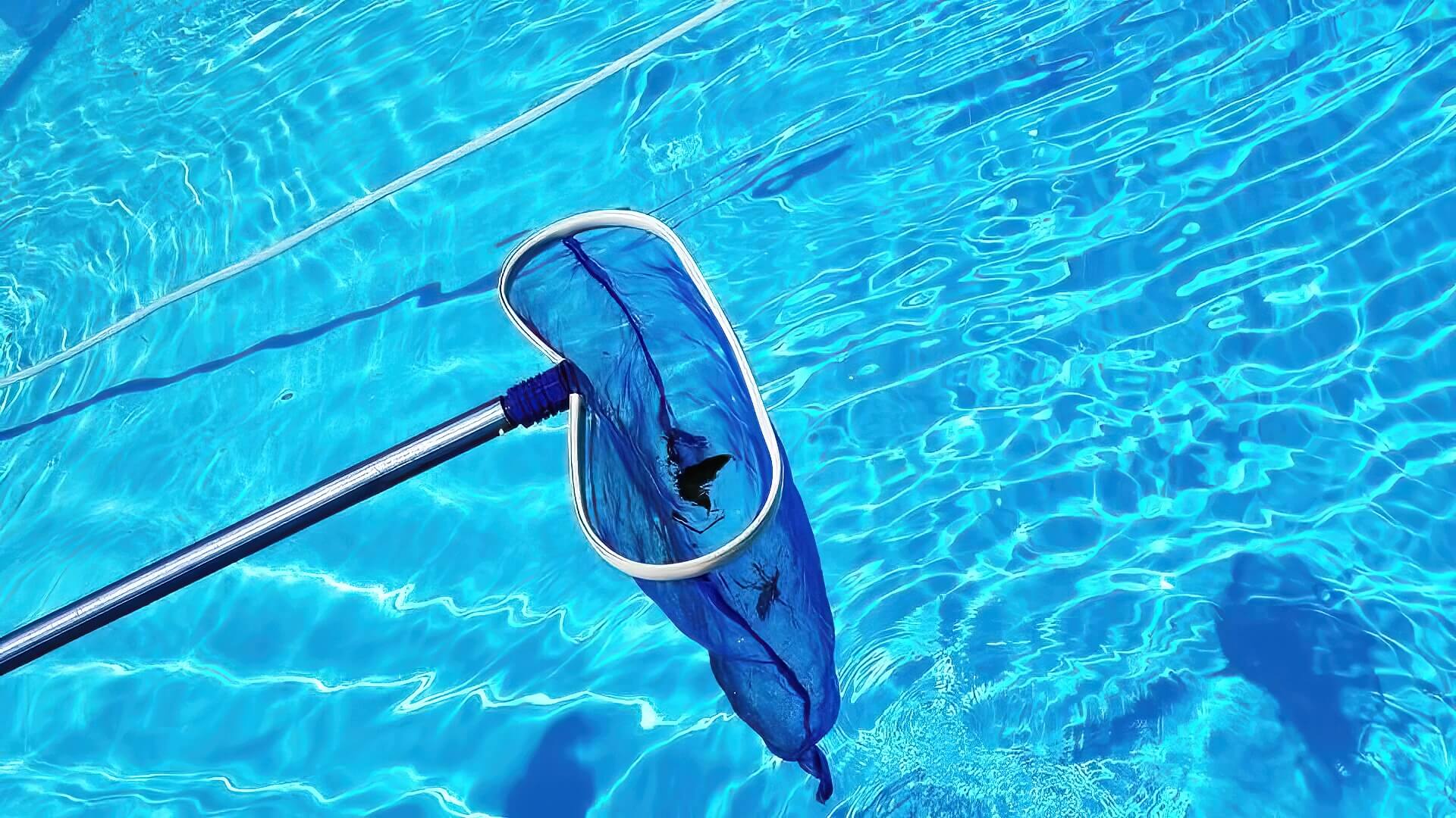Pool Skimmer Clear Blue Water Pool Skimmer Clear Blue Water