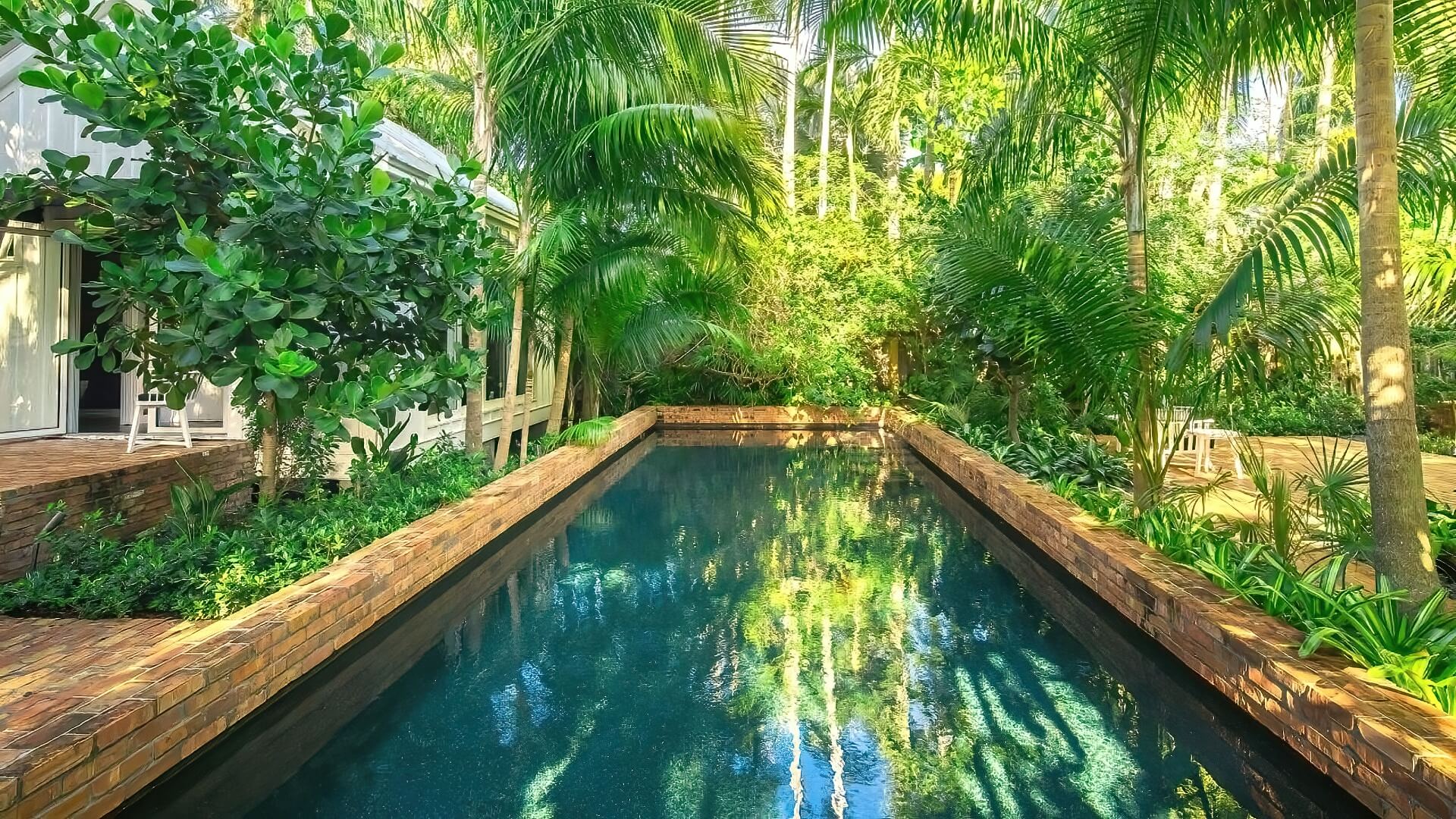 Poolside Plants Affected By Pool Water Poolside Plants Affected Pool Water