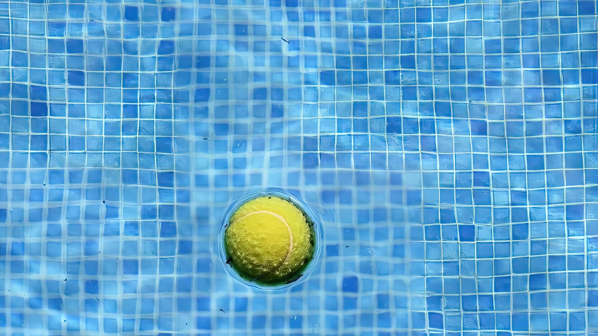 Tennis Ball Floating In Pool Tennis Ball Floating Pool