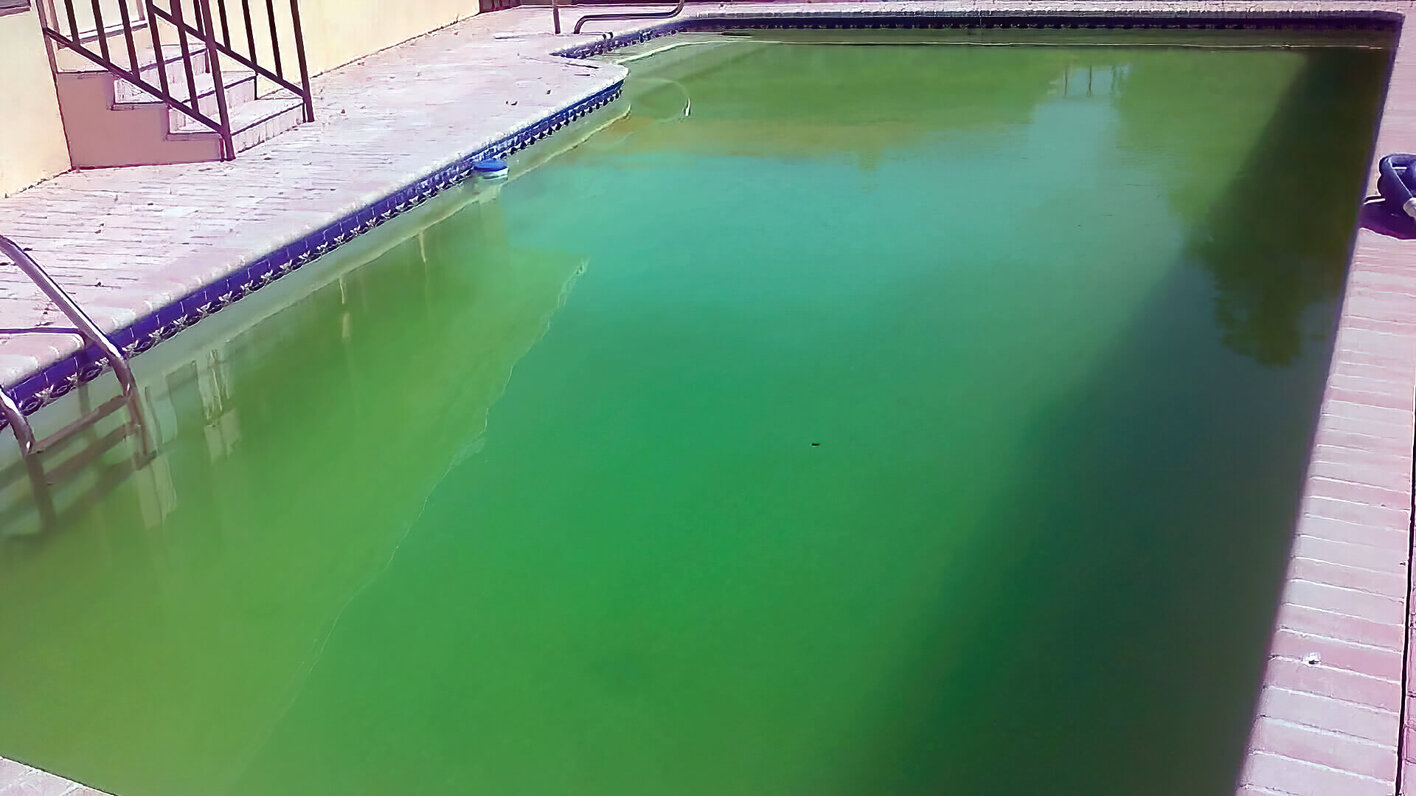 Why Is My Pool Green?