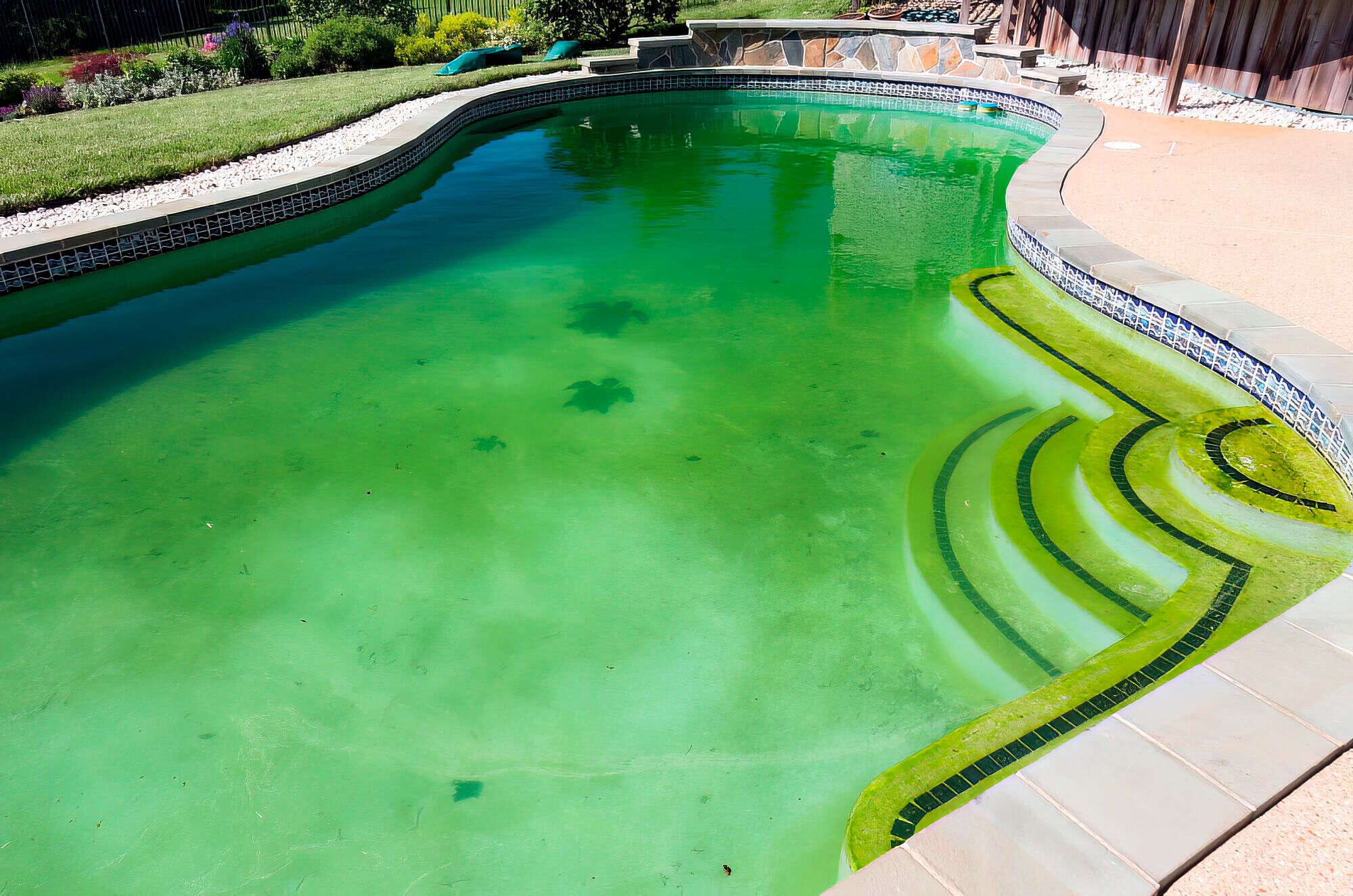 Green Swimming Pool From Calcium Build Up Green Swimming Pool Calcium Build
