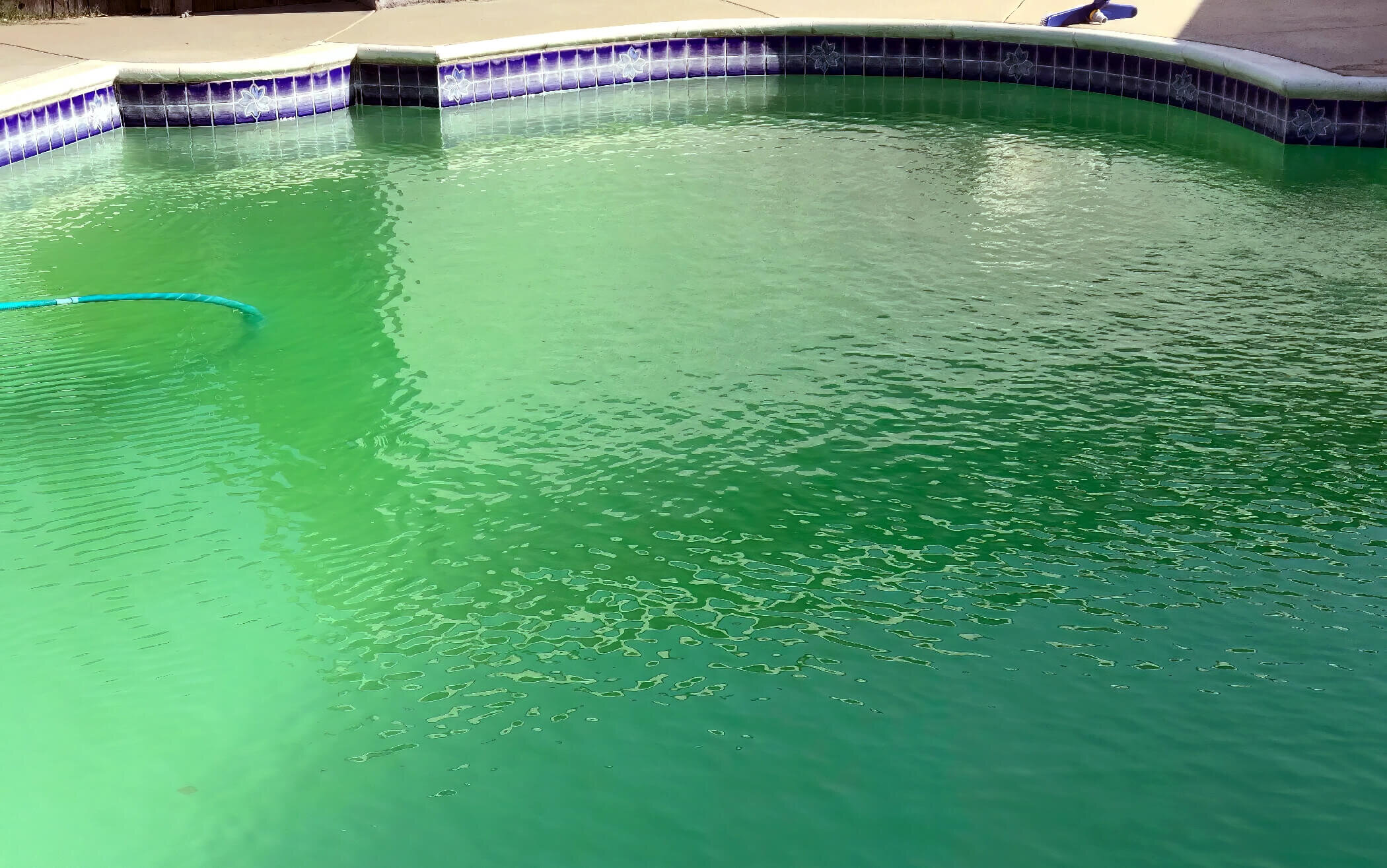 Photo Of Cloudy Pool Water Photo Cloudy Pool Water