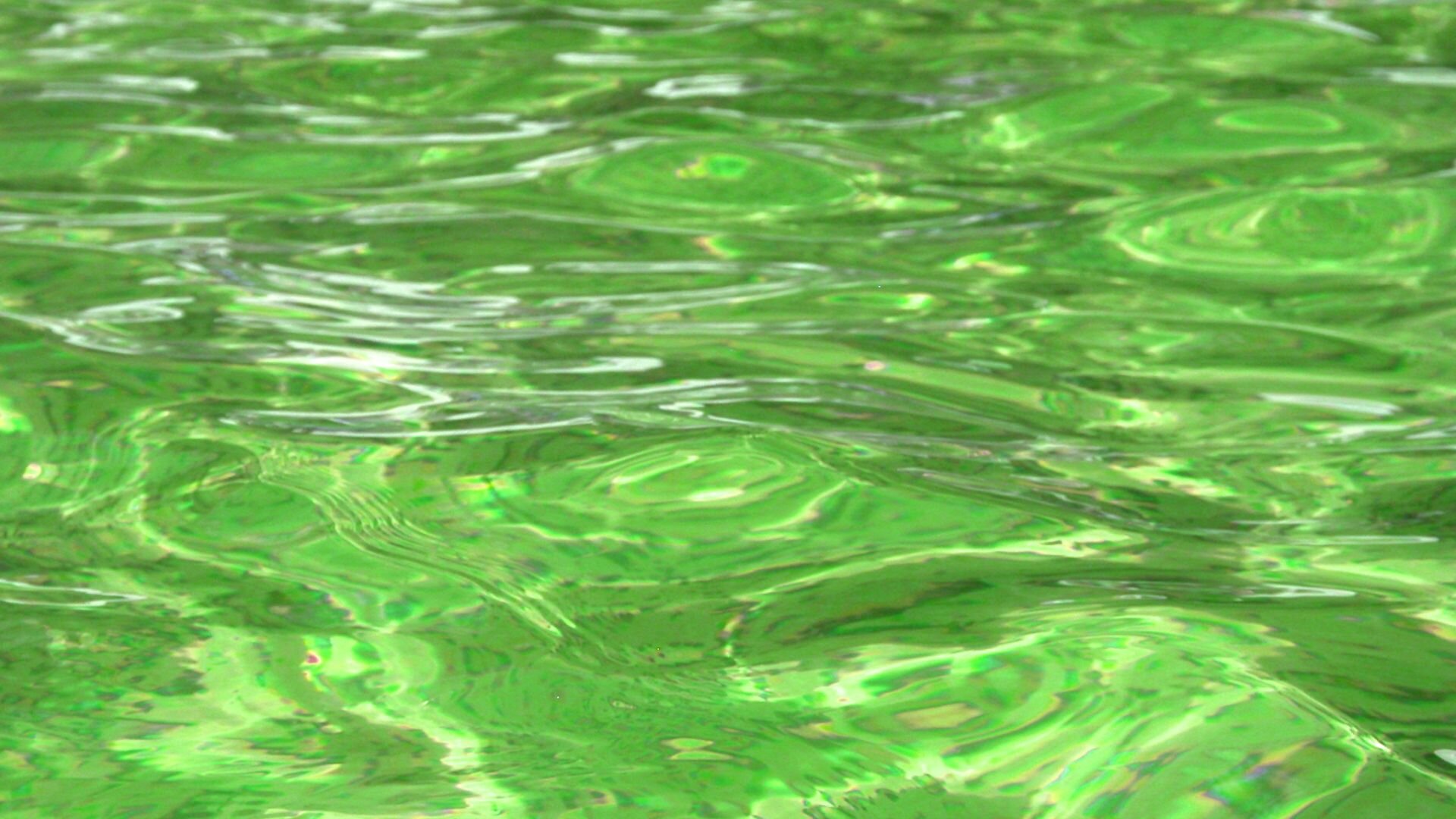 Close Up Green Pool Water Close Green Pool Water