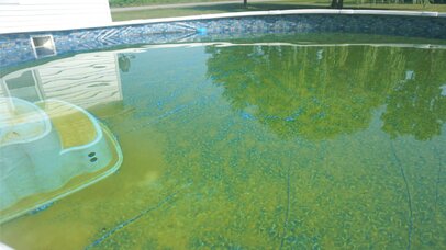 How To Prevent Swimming Pool Algae Prevent Swimming Pool Algae