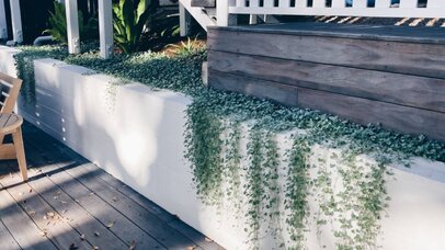 Beginner’ Guide Building Pool Retaining Wall