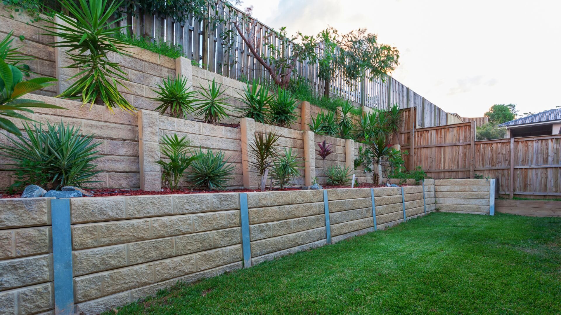 2024 01 Wall Greenery Plants Wall Greenery Plants
