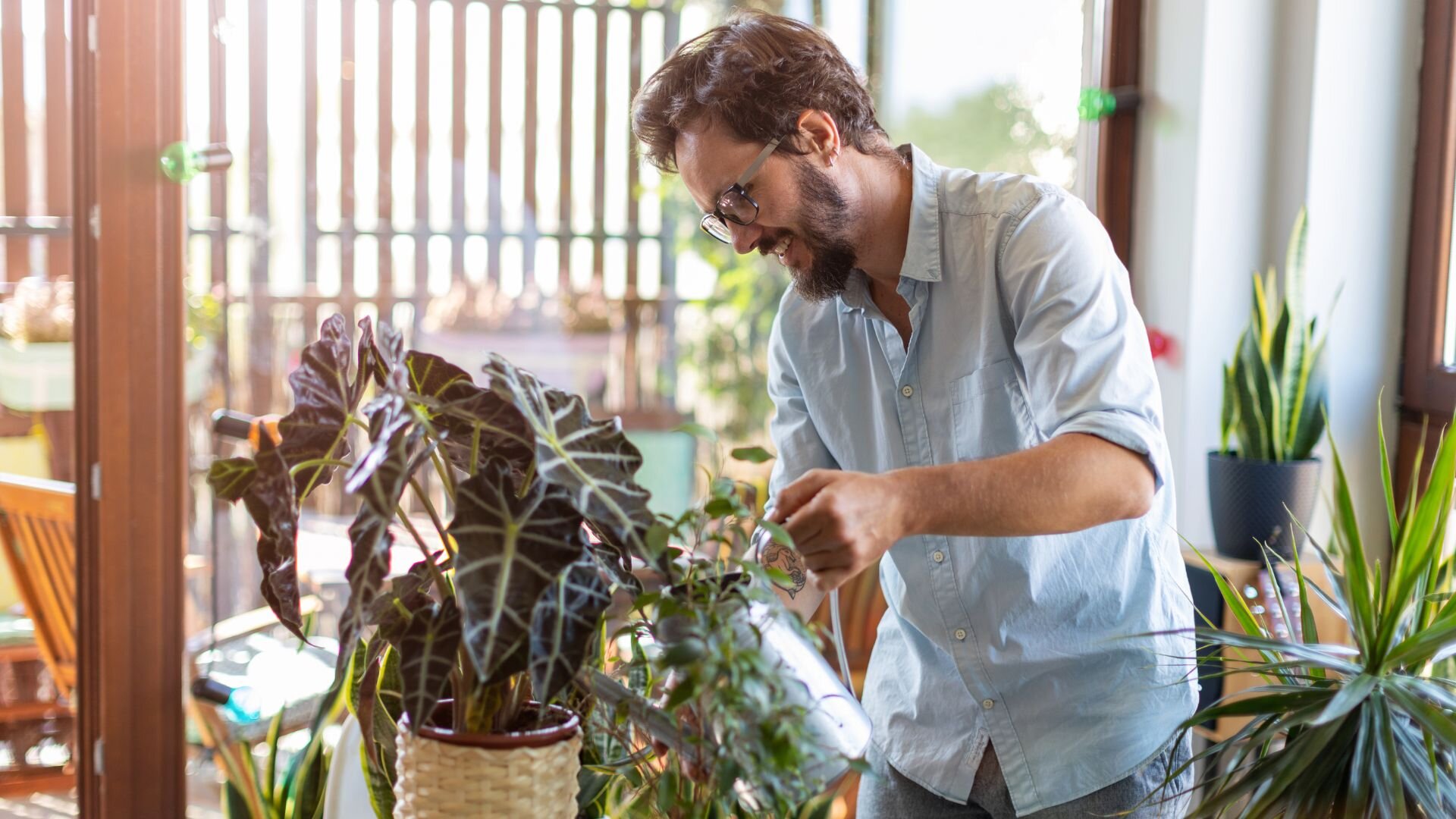 2024 01 Watering Plants Watering Plants