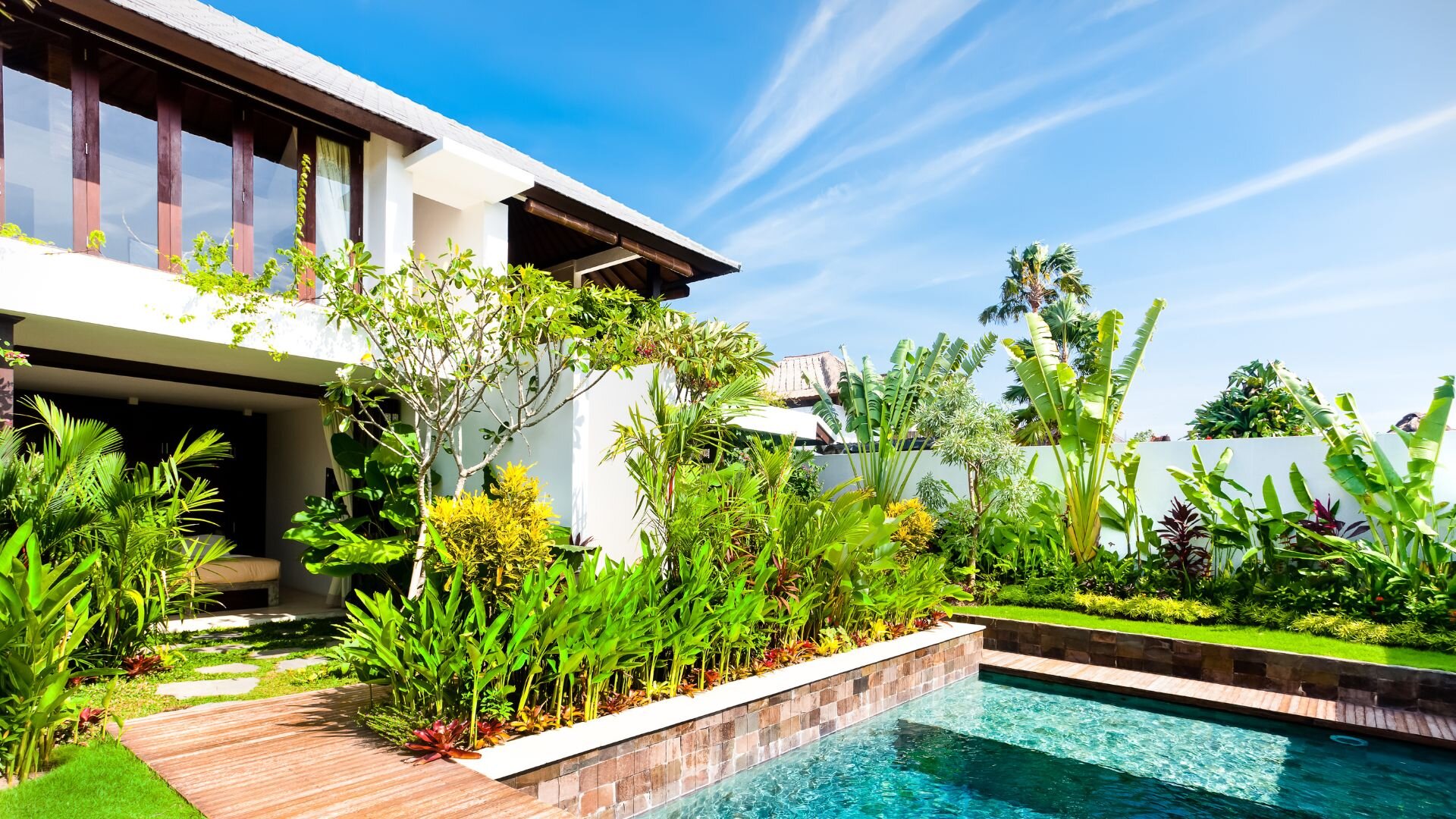 2024 02 Pool Side Plants Pool Side Plants